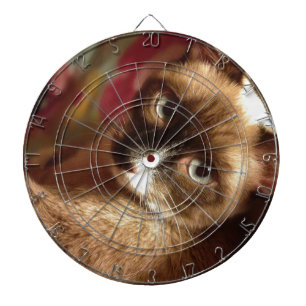 Mooie Bruine Kat Dartbord
