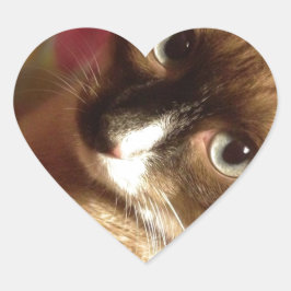 Mooie bruine kat hart sticker