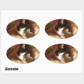 Mooie bruine kat ovale sticker (Vel)