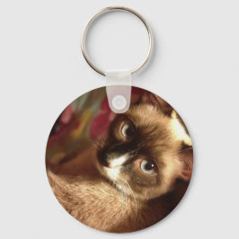 Mooie bruine kat sleutelhanger