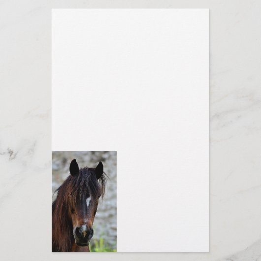 Mooie bruine paard briefpapier (Voorkant)