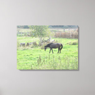 Mooie bruine paard in de wei  Fotowandkunst Canvas Afdruk