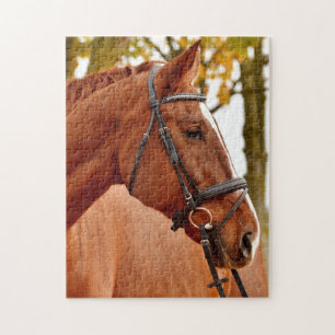 Mooie bruine paard legpuzzel