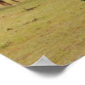 Mooie bruine paarden poster (Hoek)