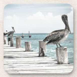 Mooie bruine Pelicans Ocean Coastal Beach Drankjes Onderzetter