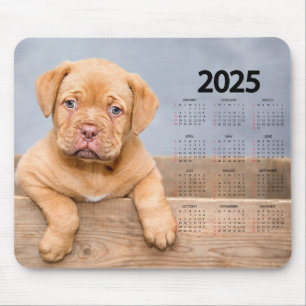 Mooie bruine puppy 2025 hondenkalender muismat