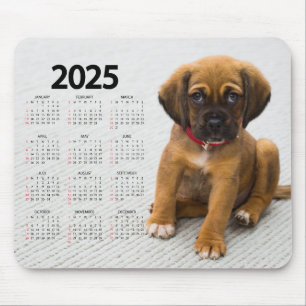 Mooie bruine puppy 2025 hondenkalender muismat