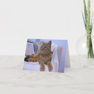 Mooie bruine tabby kaart
