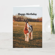 Mooie bruine verf conceptiepaard foto van Birthday