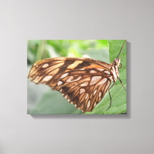 Mooie Bruine Vlinder Canvas Print