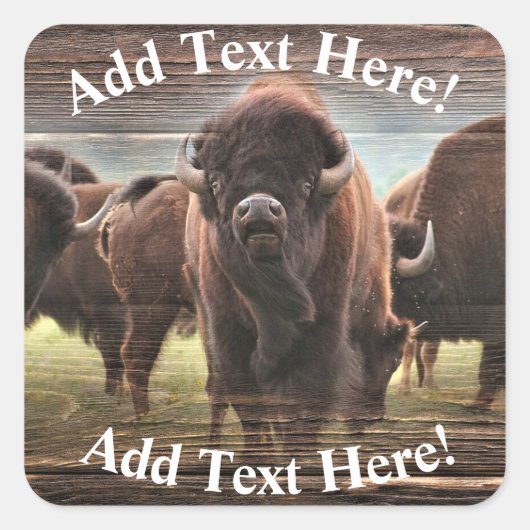 Mooie Buffalo Herd Vierkante Sticker (Voorkant)
