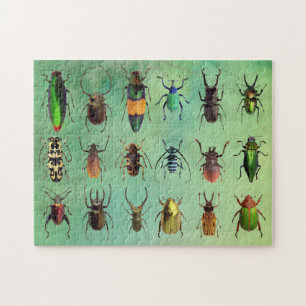 Mooie bugs Beetle Mania Puzzle Legpuzzel