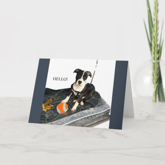 Mooie Bulldog Wenskaart Feestdagen Kaart (Voorkant)