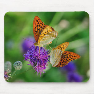 Mooie Butterflies Muismat