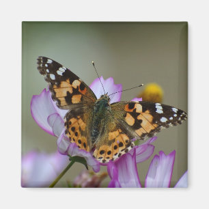 Mooie Butterfly Magnet Magneet