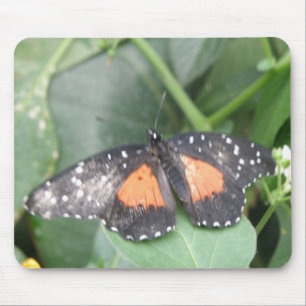 Mooie Butterfly Mousepad Muismat