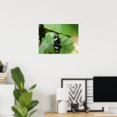 Mooie Butterfly-printer Poster (Thuiskantoor)