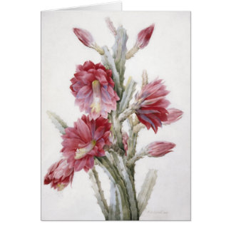 Mooie Cactus Bloom Waterverf Art