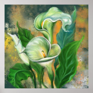 Mooie Calla Lily Flower - Migned Art Drawing Poster
