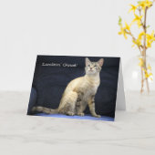 Mooie Cat Verjaardag Kaart voor Speciale Persoon (Gele Bloem)