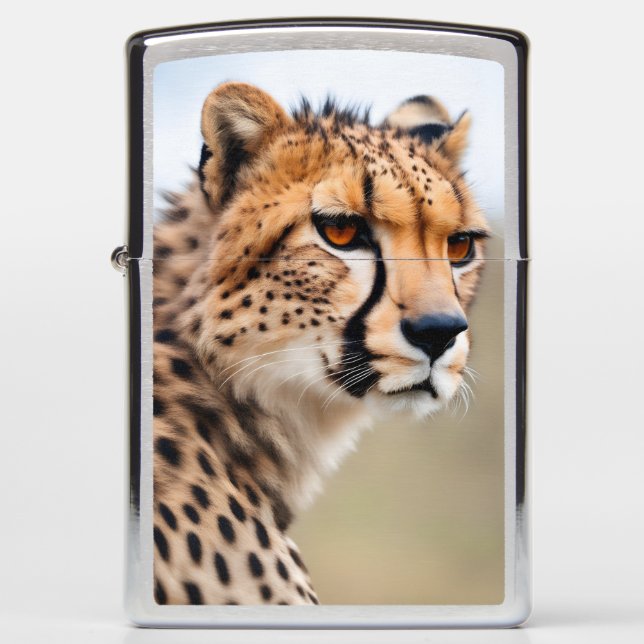 Mooie Cheetah (Voorkant)