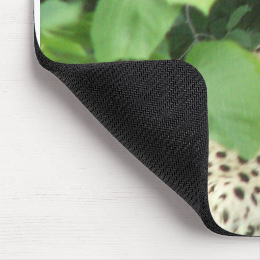 Mooie cheetah muismat (Hoek)