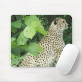 Mooie cheetah muismat (Met muis)