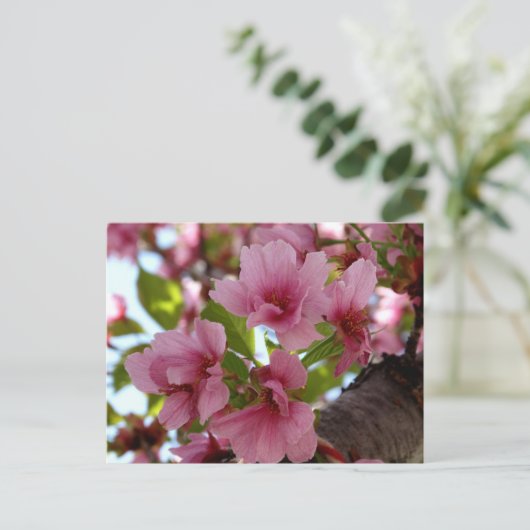 Mooie Cherry Blossoms Foto Aangepast Briefkaart (Staand voorkant)