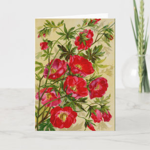 Mooie Cherry Red Wilde Rozen Notecards Kaart