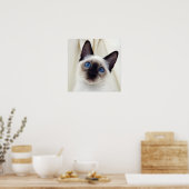 Mooie Chic Sweet Pet Siamese Kitten Cat Poster (Keuken)