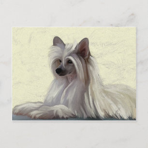 Mooie Chinese kruitpooep Briefkaart