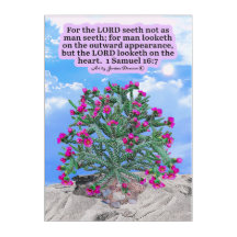 Mooie Cholla Cactus Schrift 1 Samuel 16:7
