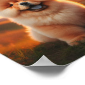 mooie Chow Chow puppy Poster (Hoek)