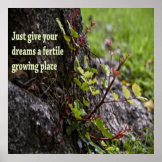 Mooie citaten poster