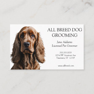Mooie Cocker Spaniel Hond Grooming Huisdier Dienst Visitekaartje