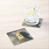 Mooie cockpitset Onderzetter (Insitu)