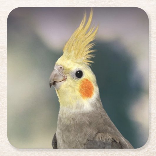 Mooie cockpitset Onderzetter (Voorkant)