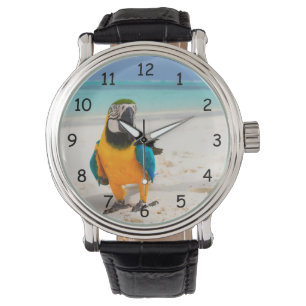 Mooie Colorful Parrot op de zand Horloge