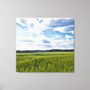 Mooie Cornfields Canvas Afdruk