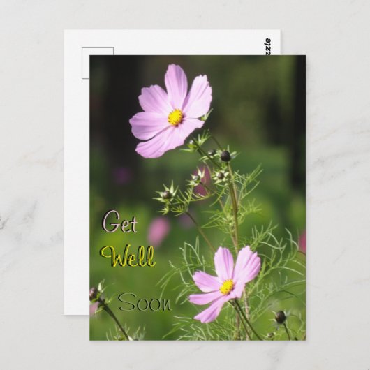 Mooie Cosmea Bloemen Beterschap Kaart (Voorkant / Achterkant)