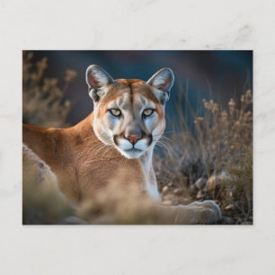 Mooie Cougar Mountain Lion Wilderness Natuur Briefkaart