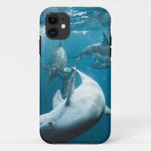 Mooie Cute Dolphins iPhone 11 Hoesje