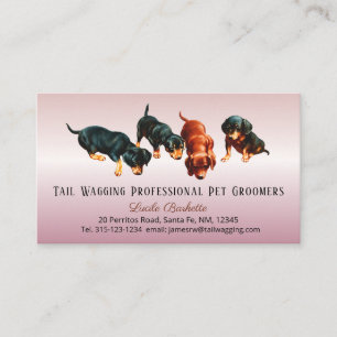Mooie Dachshund Doxie Pups Huisdier Verzorging Ros Visitekaartje