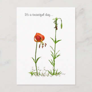 Mooie dag... briefkaart