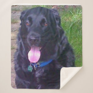 Mooie dag sherpa deken