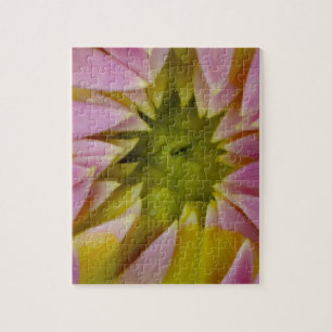 Mooie Dahlia Legpuzzel