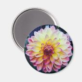 Mooie Dahlia op een magneet (Voorkant / Achterkant)
