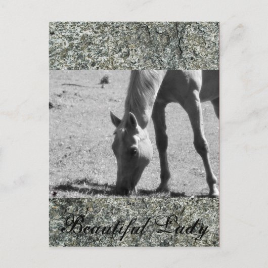 Mooie dame briefkaart (Voorkant)