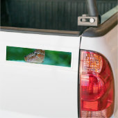 Mooie Danaus Plexippus Butterfly op Leaf. Bumpersticker (Op Truck)
