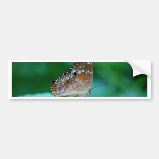 Mooie Danaus Plexippus Butterfly op Leaf. Bumpersticker (Voorkant)
